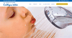 Desktop Screenshot of culliganofcrete.com
